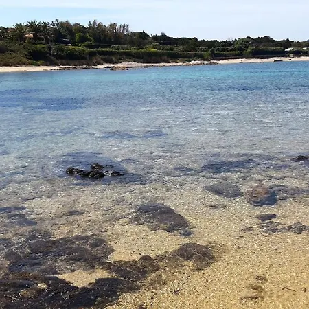 Apartment Lo Sguardo Sulla Citta' ,panoramic View Olbia